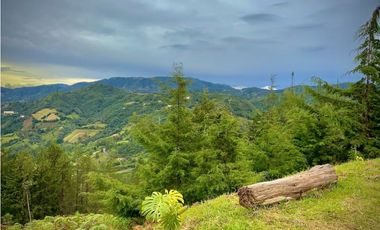 Lote Parcelacion VISTA REPRESA (Retiro)