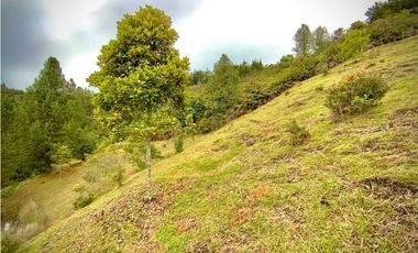 Lote Parcelacion VISTA REPRESA (Retiro)