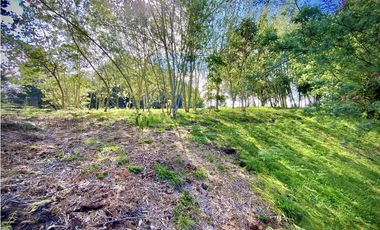 Venta Lote Parcelacion Alto Palmas Envigado