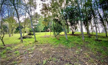 Venta Lote Parcelacion Alto Palmas Envigado