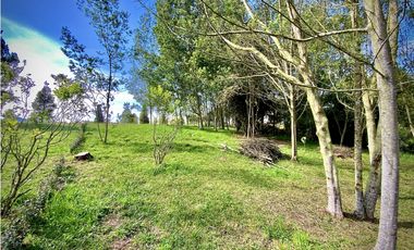 Venta Lote Parcelacion Alto Palmas Envigado