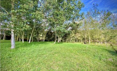 Venta Lote Parcelacion Alto Palmas Envigado