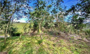 Venta Lote Parcelacion Alto Palmas Envigado