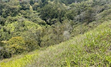 Venta de Lote en Fizebad en el Retiro