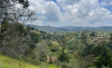 Venta de Lote en Fizebad en el Retiro