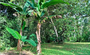 Se vende hermoso lote para construir en Las Lomas, David!