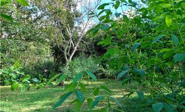 Se vende hermoso lote para construir en Las Lomas, David!