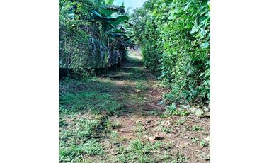 Se vende hermoso lote para construir en Las Lomas, David!