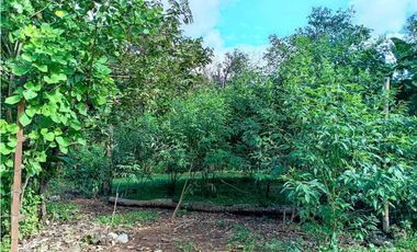 Se vende hermoso lote para construir en Las Lomas, David!