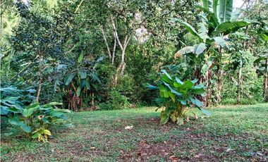 Se vende hermoso lote para construir en Las Lomas, David!