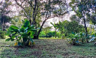 Se vende hermoso lote para construir en Las Lomas, David!