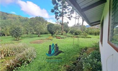 VENDO/ALQUILO CASA  2HECTAREAS EN VOLCAN