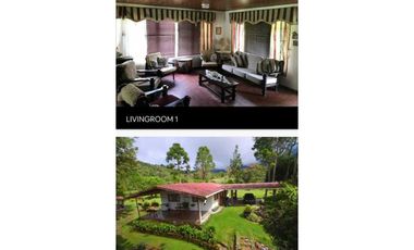 VENDO/ALQUILO CASA  2HECTAREAS EN VOLCAN