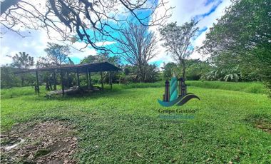 VENDO/ALQUILO CASA  2HECTAREAS EN VOLCAN