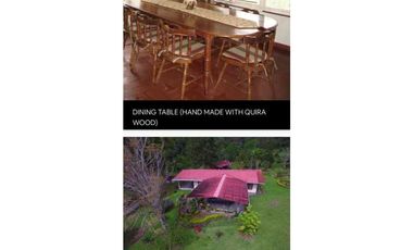 VENDO/ALQUILO CASA  2HECTAREAS EN VOLCAN