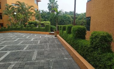 ACAPANTZINGO, UBICADISIMO