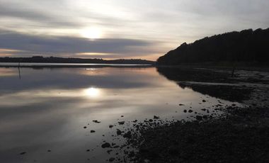 Parcela en venta en LOS MUERMOS