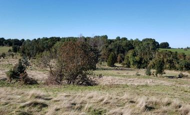 Parcela en venta en LOS MUERMOS