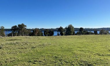 Parcela en venta en LOS MUERMOS