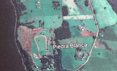 Parcela en venta en LOS MUERMOS