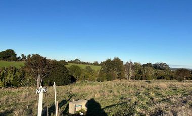 Parcela en venta en LOS MUERMOS