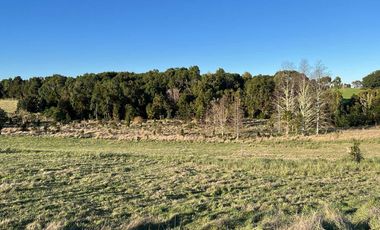 Parcela en venta en LOS MUERMOS