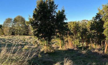 Parcela en venta en LOS MUERMOS