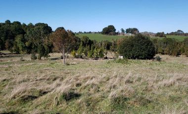 Parcela en venta en LOS MUERMOS