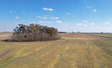 Campo en VENTA 36 hectáreas CLASE 1  Oliveros, Sta Fe
