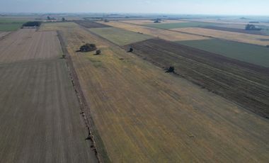 Campo en VENTA 36 hectáreas CLASE 1  Oliveros, Sta Fe