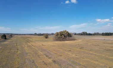 Campo en VENTA 36 hectáreas CLASE 1  Oliveros, Sta Fe