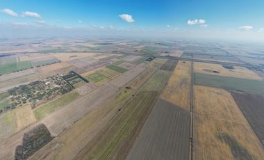 Campo en VENTA 36 hectáreas CLASE 1  Oliveros, Sta Fe
