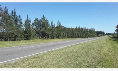 Ruta 39 km 10 - Pavón - Exaltación de la Cruz