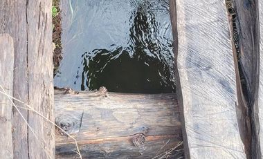 Chacra Sobre ruta 40 - El Hoyo - Chubut - 1.9 hectareas con Arroyo permanente