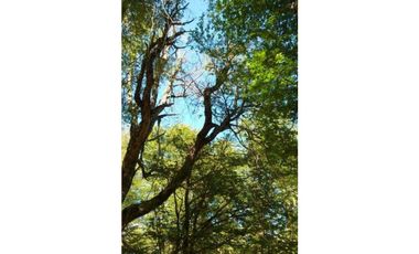 Arriendo Depto temporada 2D 2B Arriendo Termas de Chillán