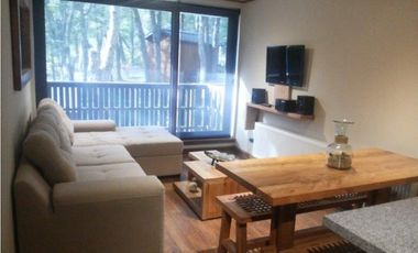 Arriendo Depto temporada 2D 2B Arriendo Termas de Chillán