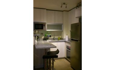 Arriendo Depto temporada 2D 2B Arriendo Termas de Chillán