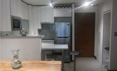 Arriendo Depto temporada 2D 2B Arriendo Termas de Chillán