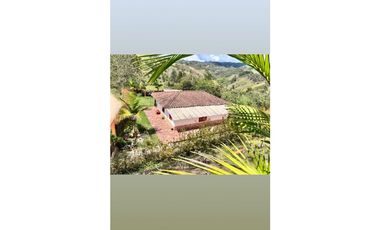 FINCA EN VENTA EN SAN VICENTE
