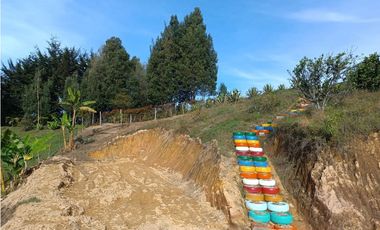 FINCA EN VENTA EN SAN VICENTE