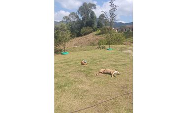 FINCA EN VENTA EN SAN VICENTE