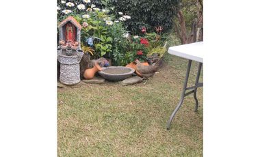 FINCA EN VENTA EN SAN VICENTE
