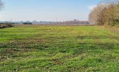 Agrícola en Venta en PARCELA SECTOR SAN RAFAEL