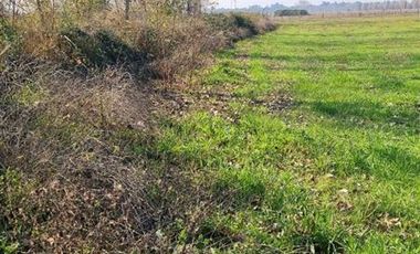 Agrícola en Venta en PARCELA SECTOR SAN RAFAEL
