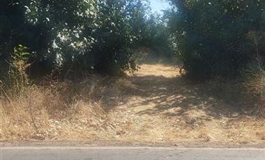 Agrícola en Venta en PARCELA SECTOR SAN RAFAEL