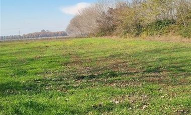 Agrícola en Venta en PARCELA SECTOR SAN RAFAEL