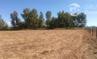 Agrícola en Venta en PARCELA SECTOR SAN RAFAEL