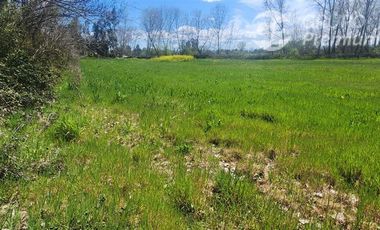 Agrícola en Venta en PARCELA SECTOR SAN RAFAEL