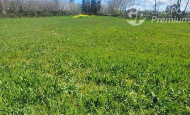 Agrícola en Venta en PARCELA SECTOR SAN RAFAEL
