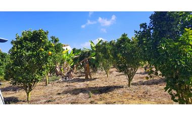 Vendo Finca Barichara Vereda San jose Los Gaques